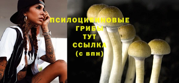 стаф Медвежьегорск