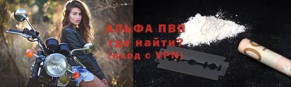 стаф Медвежьегорск