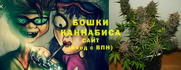эйфоретик Медногорск