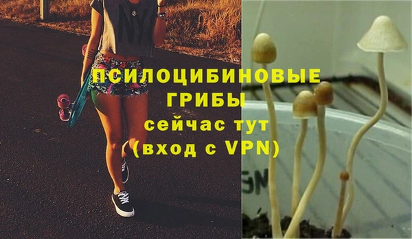 эйфоретик Медногорск