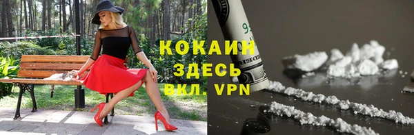 стаф Медвежьегорск