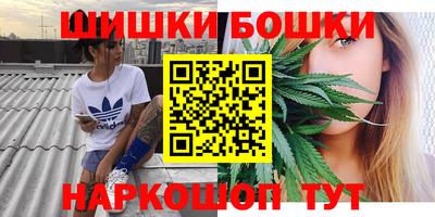 шишки Канаш