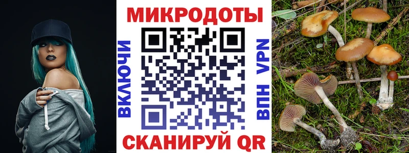 сайты даркнета Telegram  Симферополь  Псилоцибиновые грибы Magic Shrooms 