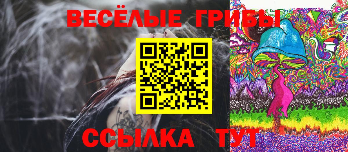Галлюциногенные грибы Psilocybe  Вход с VPN  Симферополь  Галлюциногенные грибы Cubensis 